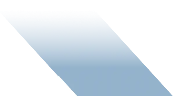 LOWE LAW graphic image overlay