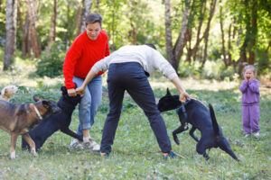 Spokane dog bite injury where a Spokane dog bite attorney can help